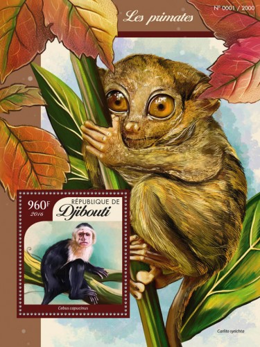 Primates (Cebus capucinus) | Stamps of DJIBOUTI
