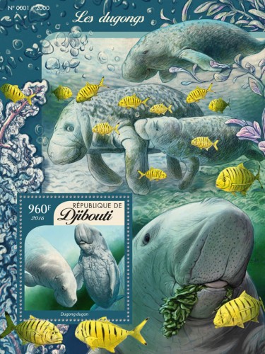 Dugongs (Dugong dugong) | Stamps of DJIBOUTI