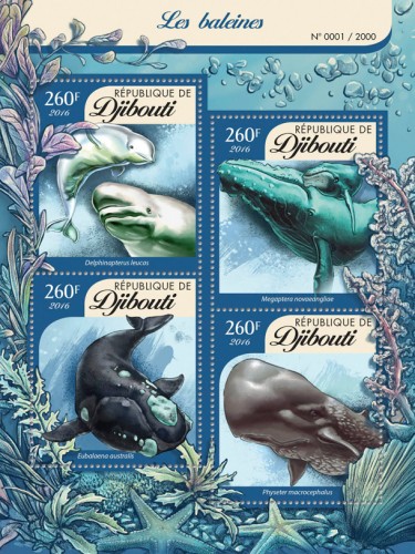 Whales (Delphinapterus leucas, Megaptera novaeangliae, Eubalaena australis, Physeter macrocephalus) | Stamps of DJIBOUTI