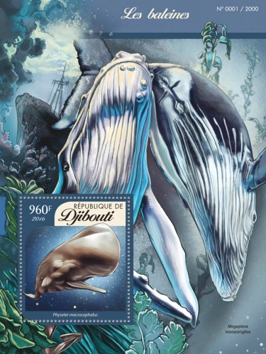 Whales (Physeter macrocephalus) | Stamps of DJIBOUTI