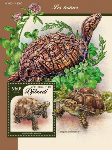 Turtles (Aldabrachelys gigantea) | Stamps of DJIBOUTI