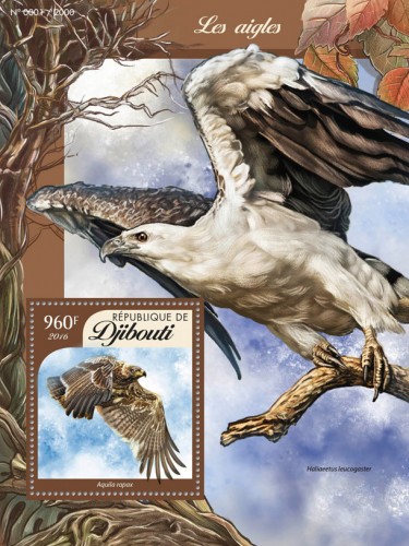 Eagles (Aquila rapax) | Stamps of DJIBOUTI