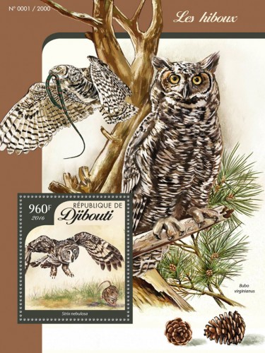 Owls (Strix nebulosa) | Stamps of DJIBOUTI