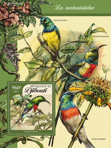 Sunbirds (Cinnyris chalybeus) | Stamps of DJIBOUTI
