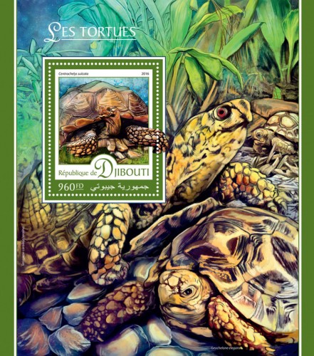 Turtles (Centrochelys sulcata) | Stamps of DJIBOUTI