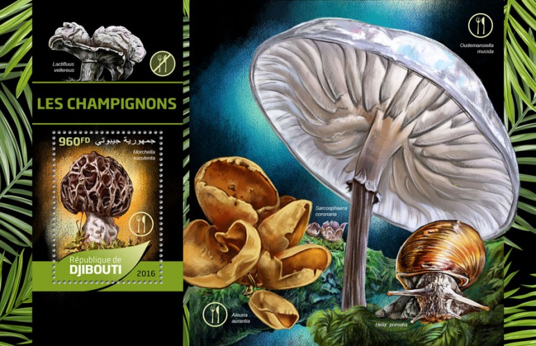 Mushrooms (Morchella esculenta) | Stamps of DJIBOUTI