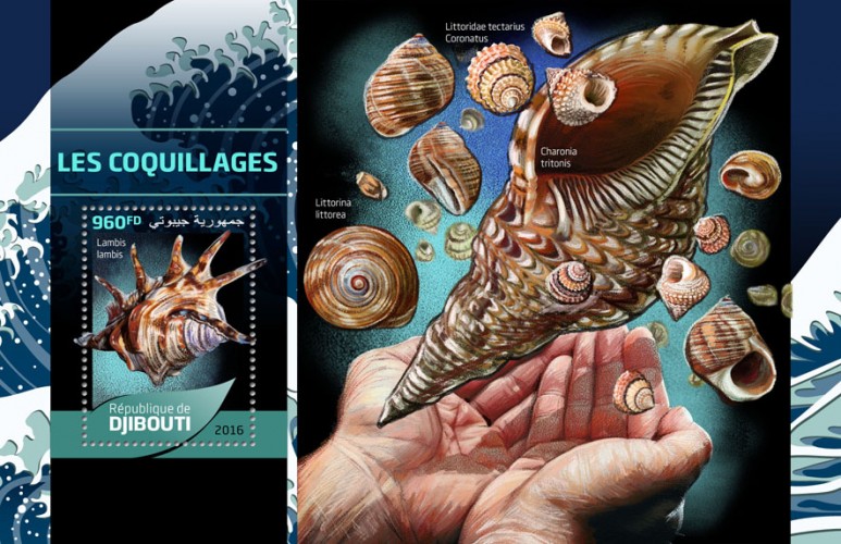 Seashells (Lambis lambis) | Stamps of DJIBOUTI