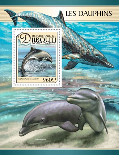 Dolphins (Cephalorhynchus heavisidii) | Stamps of DJIBOUTI