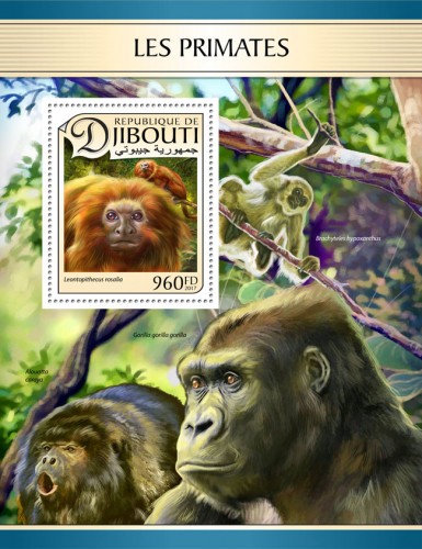 Primates (Leontopithecus rosalia) | Stamps of DJIBOUTI
