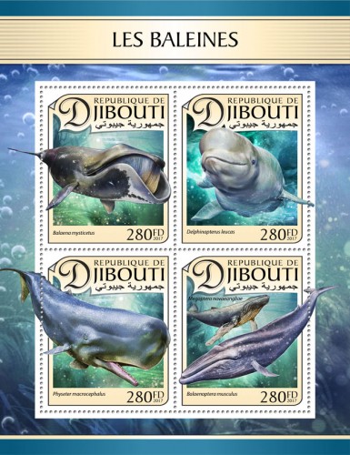 Whales (Balaena mysticetus; Delphinapterus leucas; Physeter microcephalus; Balaenoptera musculus, Megaptera novaeangliae) | Stamps of DJIBOUTI