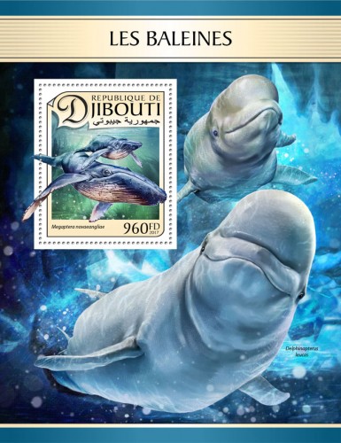 Whales (Megaptera novaeangliae) | Stamps of DJIBOUTI