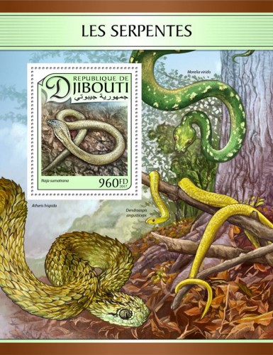 Snakes (Naja sumatrana) | Stamps of DJIBOUTI