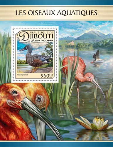 Water birds (Anas rhynchotis) | Stamps of DJIBOUTI