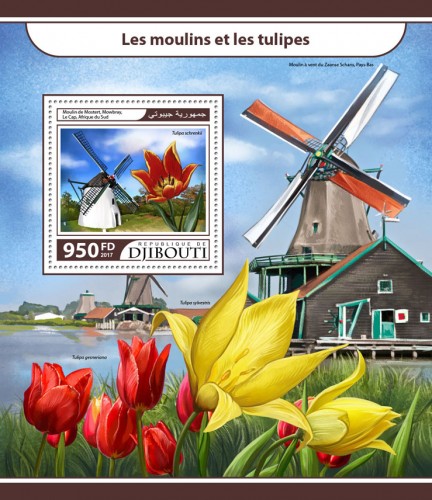 Windmills and tulips (Mostert's Mill, Mowbray, Cape Town, South Africa, Tulipa schrenkii) | Stamps of DJIBOUTI
