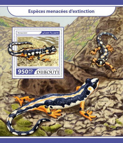 Endangered species (Neurergus kaiseri) | Stamps of DJIBOUTI