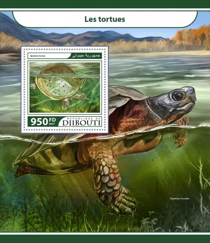 Turtles (Apalone mutica) | Stamps of DJIBOUTI