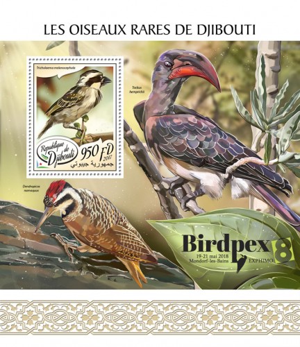 Rare birds of Djibouti (Birdpex) (Tricholaema melanocephala) | Stamps of DJIBOUTI