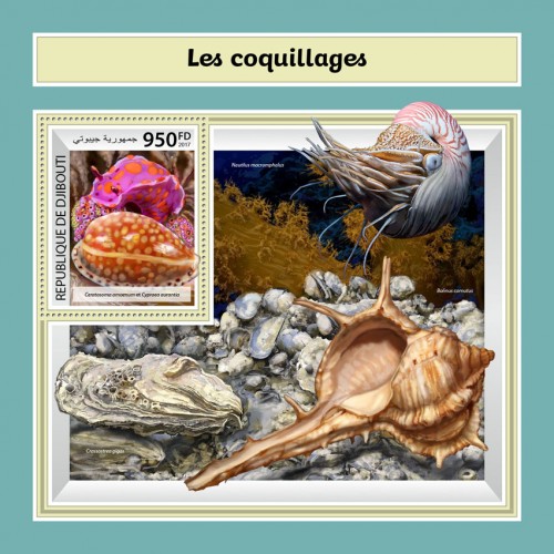 Shells (Ceratosoma amoenum and Cypraea aurantia) | Stamps of DJIBOUTI