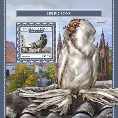 Pigeons (Belgian Ringbeater) | Stamps of DJIBOUTI