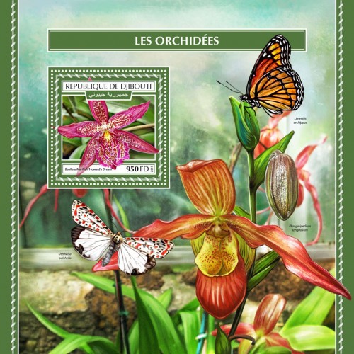 Orchids (Beallara Marfitch ‘Howard’s Dream’) | Stamps of DJIBOUTI
