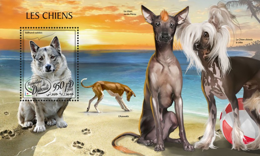 Dogs (Swedish Vallhund) | Stamps of DJIBOUTI