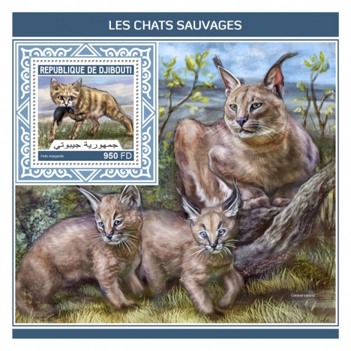 Wild cats (Felis margarita) | Stamps of DJIBOUTI
