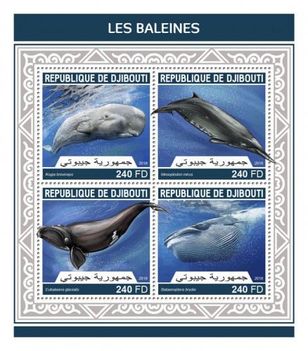 Whales (Kogia breviceps; Mesoplodon mirus; Eubalaena glacialis; Balaenoptera brydei) | Stamps of DJIBOUTI
