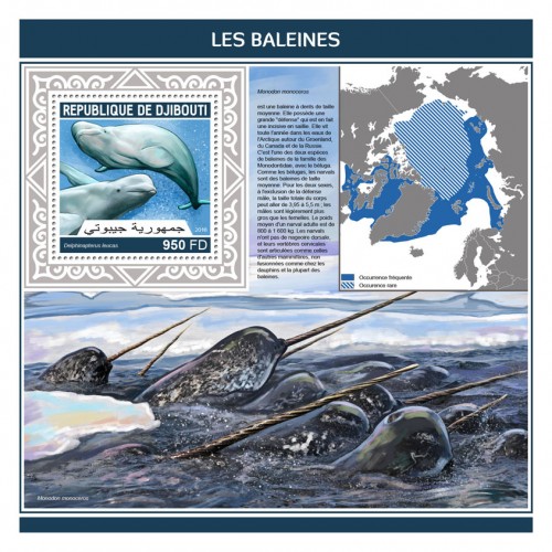 Whales (Delphinapterus leucas) | Stamps of DJIBOUTI