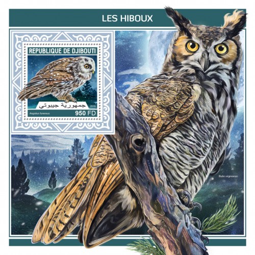 Owls (Aegolius funereus) | Stamps of DJIBOUTI