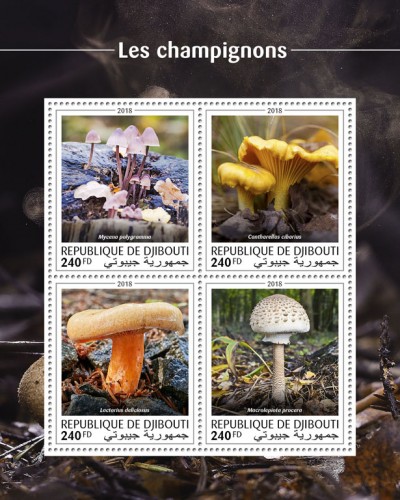 Mushrooms (Mycena polygramma; Cantharellus cibarius; Lactarius deliciosus; Macrolepiota procera) | Stamps of DJIBOUTI
