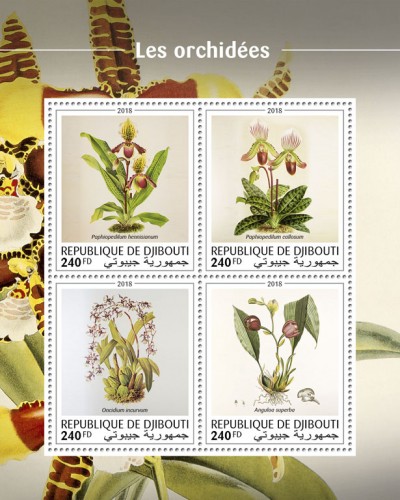 Orchids (Paphiopedilum hennisianum; Paphiopedilum callosum; Oncidium incurvum; Anguloa superba) | Stamps of DJIBOUTI