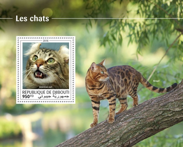 Cats (American Curl) Background info: Bengal | Stamps of DJIBOUTI