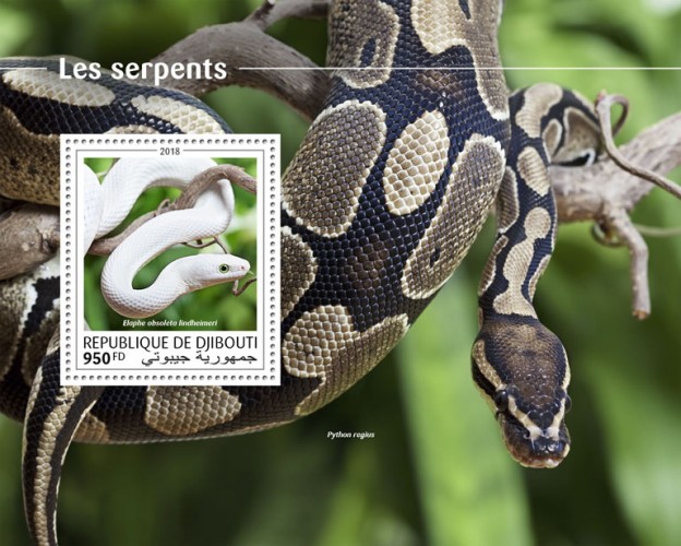Snakes (Elaphe obsoleta lindheimeri) Background info: Python regius | Stamps of DJIBOUTI