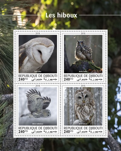 Owls (Tyto alba; Bubo bubo; Strix nebulosa; Strix aluco) | Stamps of DJIBOUTI