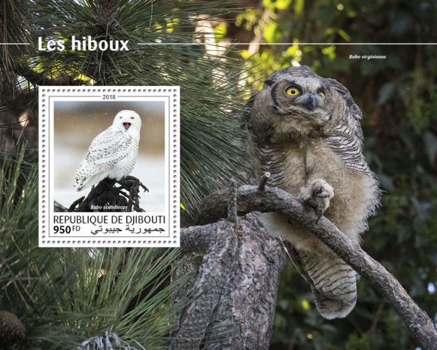 Owls (Bubo scandiacus) Background info: Bubo virginianus | Stamps of DJIBOUTI