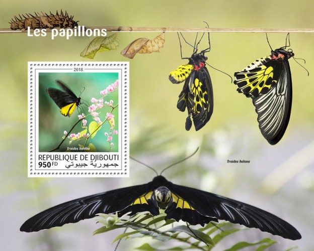 Butterflies (Troides helena) | Stamps of DJIBOUTI