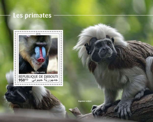 Primates (Mandrillus sphinx) Background info: Saguinus oedipus | Stamps of DJIBOUTI