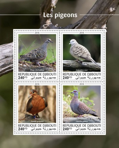 Pigeons (Phaps chalcoptera; Columbina inca; Zenaida graysoni; Columba guinea) | Stamps of DJIBOUTI