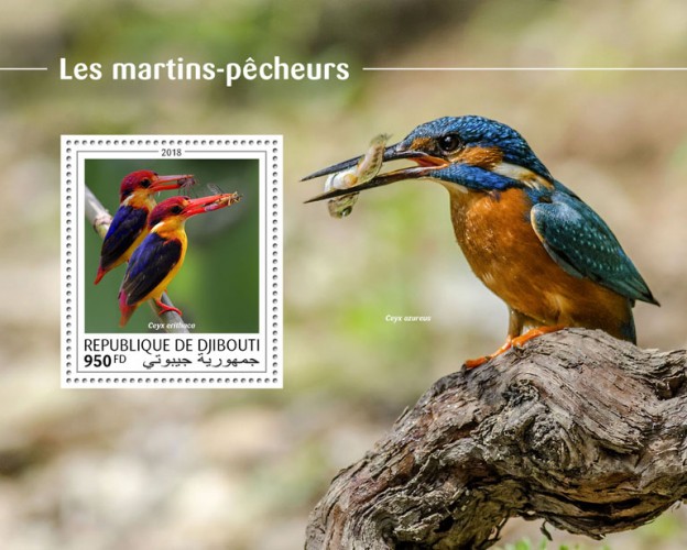 Kingfishers (Ceyx erithaca) Background info: Ceyx azureus | Stamps of DJIBOUTI