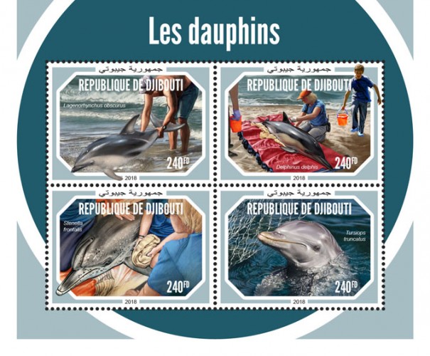 Dolphins (Lagenorhynchus obscurus; Delphinus delphis; Stenella frontalis; Tursiops truncatus) | Stamps of DJIBOUTI