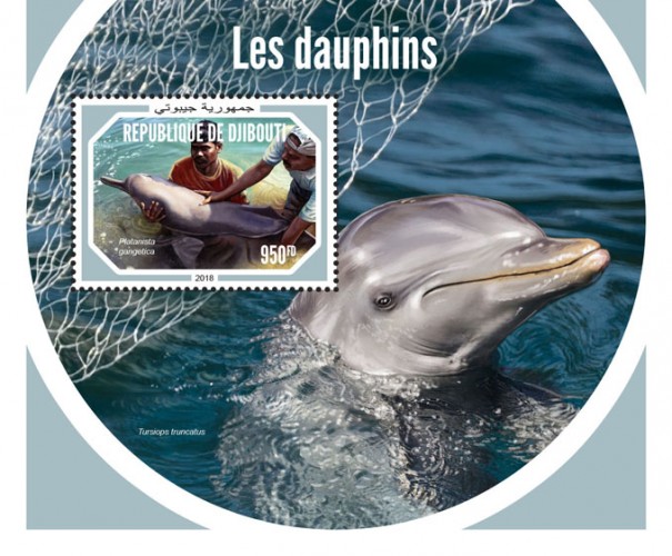 Dolphins (Platanista gangetica) Background info: Tursiops truncatus | Stamps of DJIBOUTI