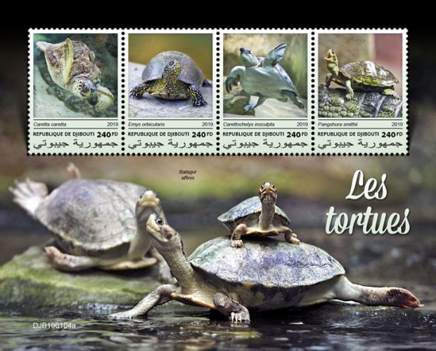 Turtles (Caretta caretta; Emys orbicularis; Carettochelys insculpta; Pangshura smithii) Background info: Batagur affinis | Stamps of DJIBOUTI