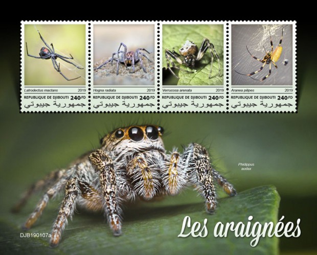 Spiders (Latrodectus mactans; Hogna radiate; Verrucosa arenata; Aranea pilipes) Background info: Phidippus audax | Stamps of DJIBOUTI