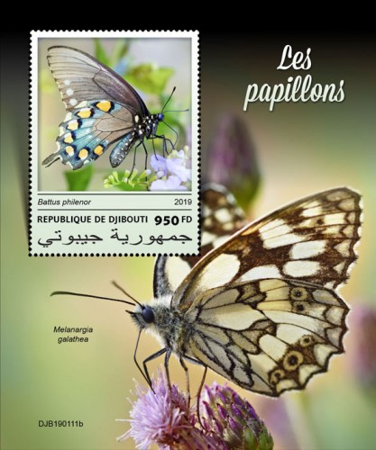 Butterflies (Battus philenor) Background info: Melanargia galathea | Stamps of DJIBOUTI