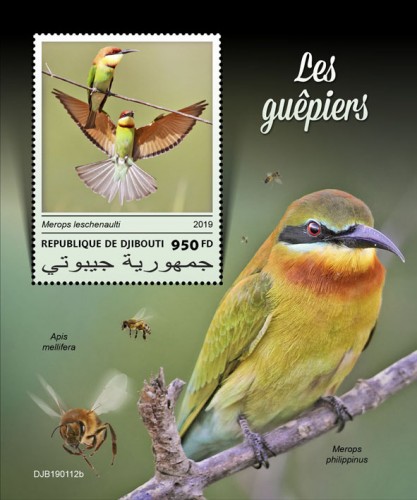 Bee-eaters (Merops leschenaulti) Background info: Apis mellifera, Merops philippinus | Stamps of DJIBOUTI