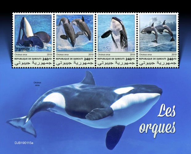 Orcas (Orcinus orca) | Stamps of DJIBOUTI