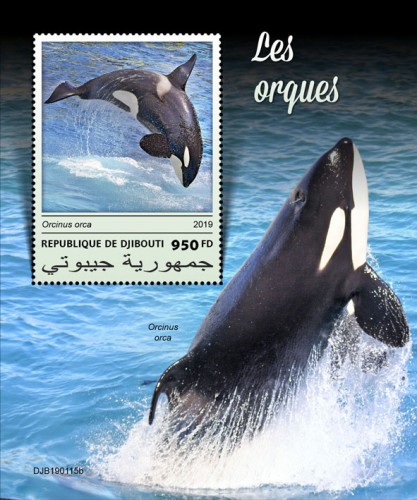 Orcas (Orcinus orca) | Stamps of DJIBOUTI