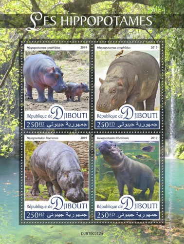Hippopotamus (Hippopotamus amphibius; Hexaprotodon liberiensis) | Stamps of DJIBOUTI