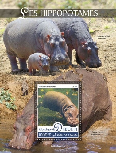 Hippopotamus (Choeropsis liberiensis) Background info: Hippopotamus amphibius | Stamps of DJIBOUTI