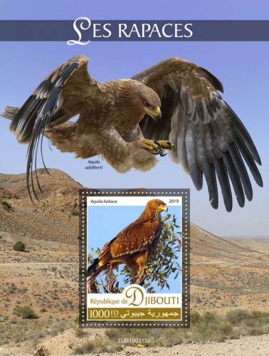 Birds of prey (Aquila heliaca) Background info: Aquila adalberti | Stamps of DJIBOUTI